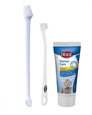Зубна паста зі щіткою для котів Trixie 25620 (паста + 2 щітки) 50 г TX25620 фото