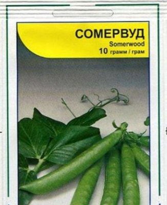 Семена Гороха Сомервуд 10 гр, Syngenta, Голландия 6889 фото