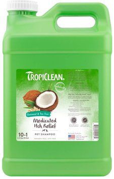 Шампунь TropiClean Medicated Itch Relief "Вівсяний з екстрактом чайного дерева" для собак та котів, 9.5 л В900172 фото