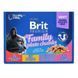 Влажный корм для кошек Брит Brit Premium Набор паучей семейная тарелка ассорти 4 вкуса 100 гх 12 шт 100278/506255 фото 2
