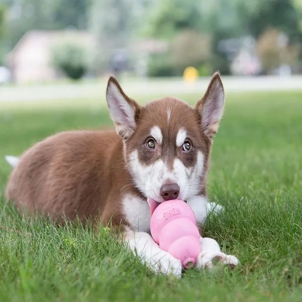 Игрушка для щенков Конг KONG Puppy груша кормушка для собак от 13 до 30 кг, размер L 31115 фото