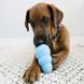Игрушка для щенков Конг KONG Puppy груша кормушка для собак от 13 до 30 кг, размер L 31115 фото 8