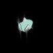 Курточка для собак AiryVest Lumi двусторонняя, светящаяся, размер XS 22, салатово-голубая 2140 фото 4