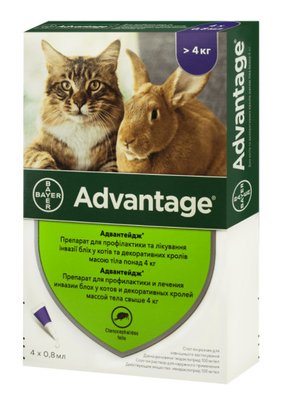 Капли от блох Advantage (Адвантейдж) 80 для котов и декоративных кролей свыше 4 кг (1 пипетка 0,8 мл) Bayer 8004 фото