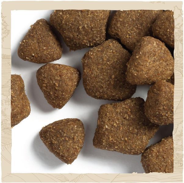 Сухий корм собак великих порід Dog Chow Adult Large Breed з індичкою, 14 кг п150138 фото