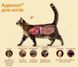 Капли Адвокат для кошек весом от 4 до 8 кг (0,8 мл 1 пипетка) BAYER 10354 фото 2